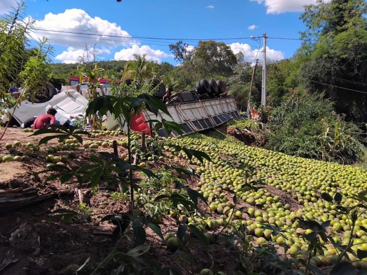 Carreta carregada de laranja tombou em Licínio de Almeida — imagem 2
